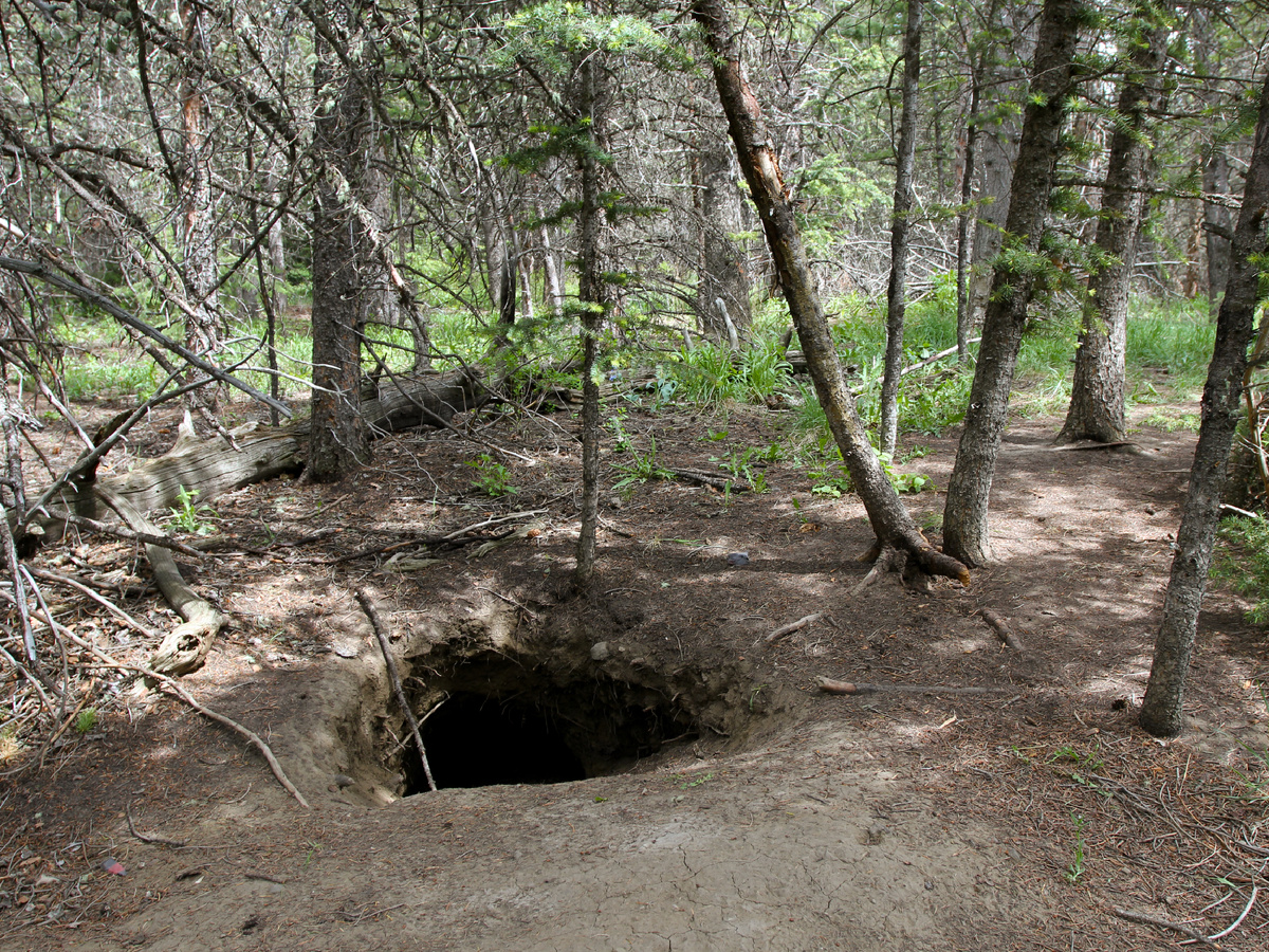 usfwshq, CC BY 2.0