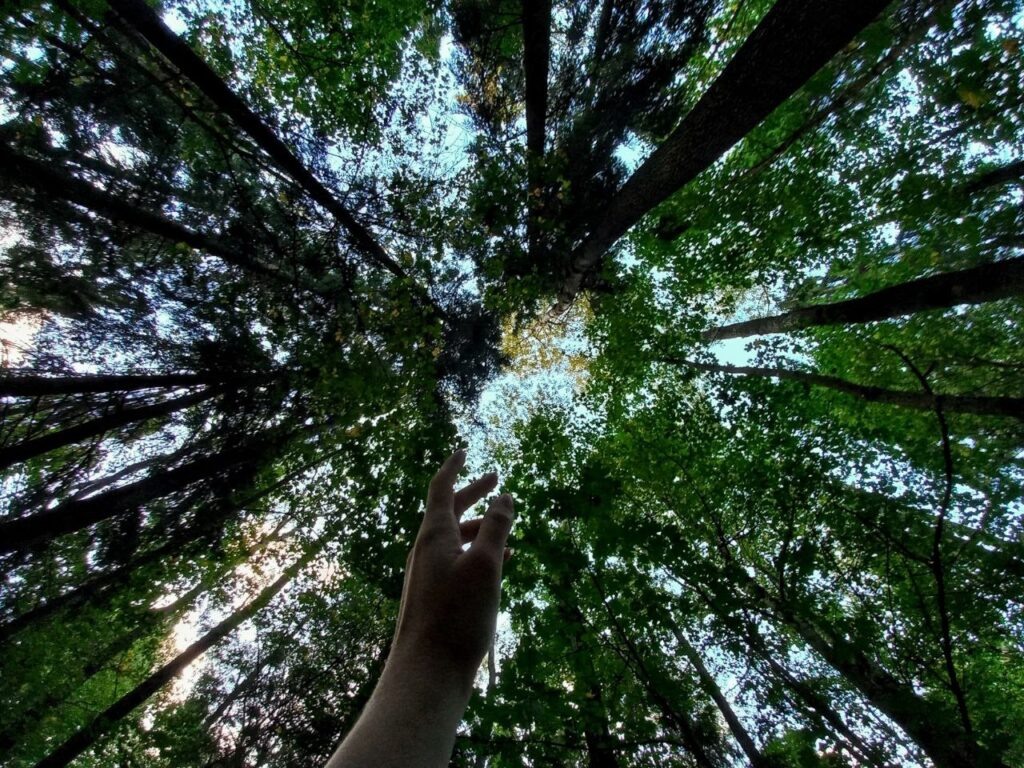    Фото: "Смоленская народная газета" Арина Корф