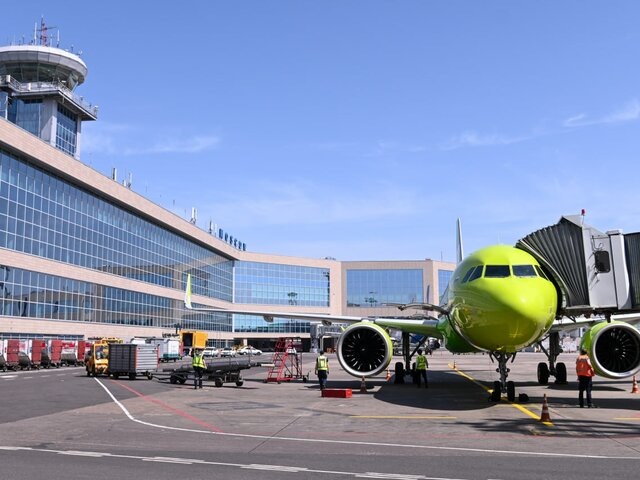    Фото: Москва 24/Никита Симонов