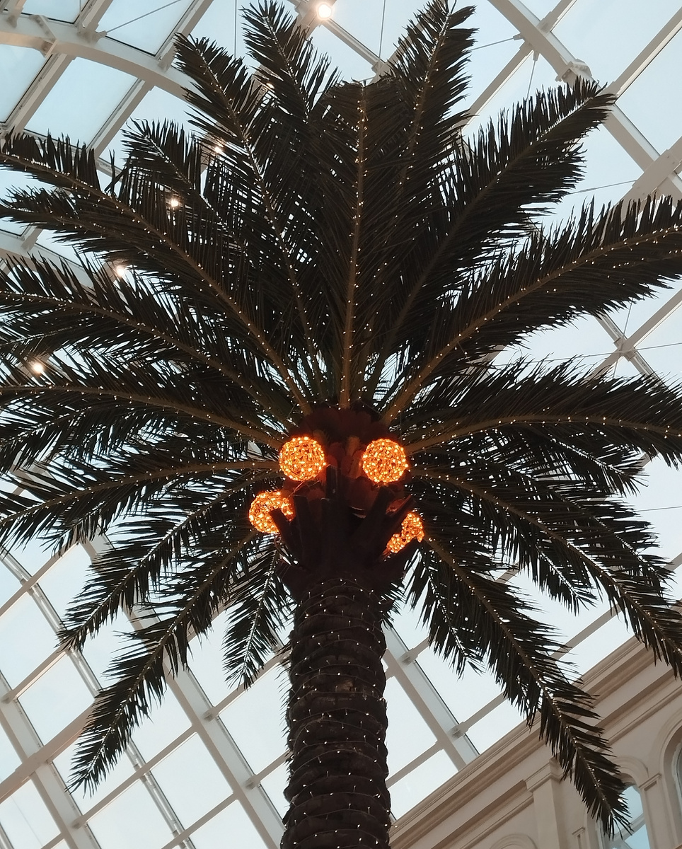 Парк развлечений Остров Мечты. ЗДЕСЬ и далее фото автора и(или) из личного архива автора, если не указано иначе.