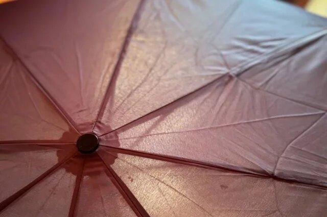    Как тулякам выбрать зонт для защиты от солнца?