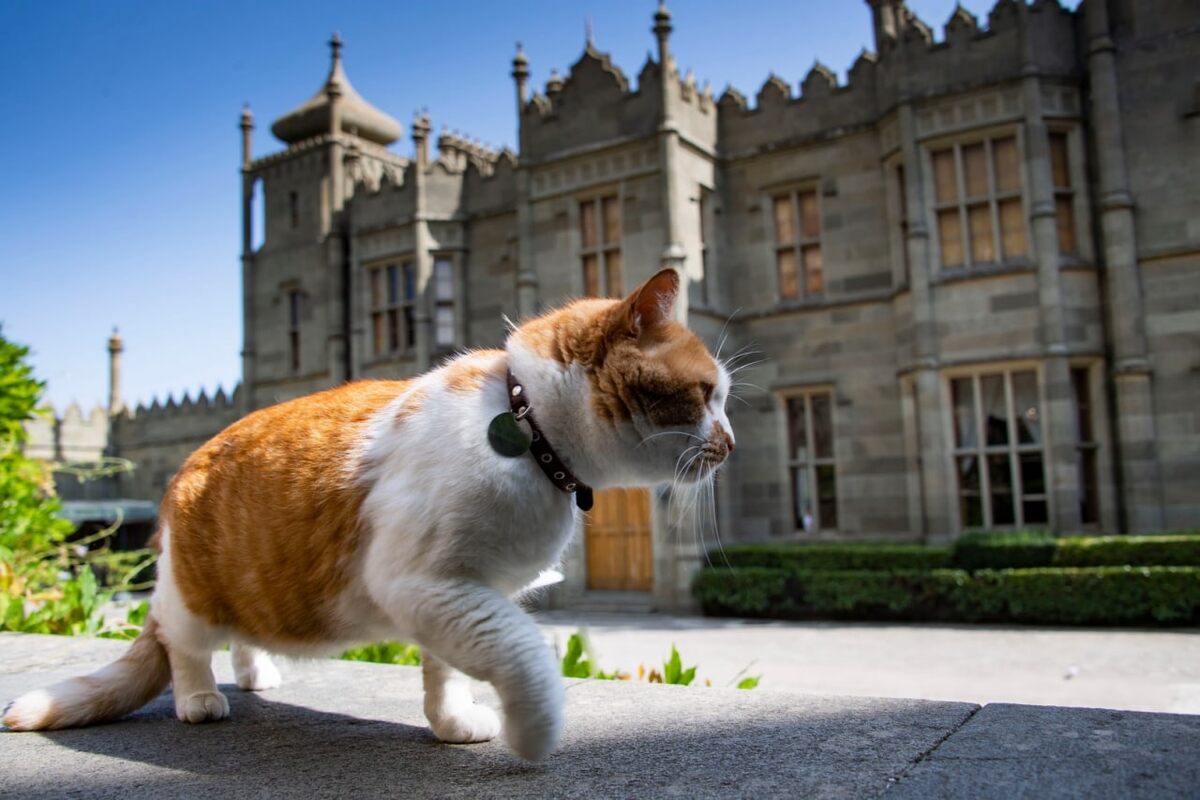 Побежали за мной!