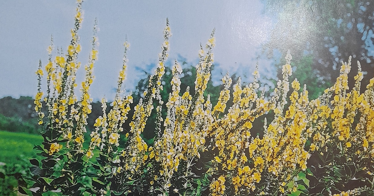 Фото автора канала