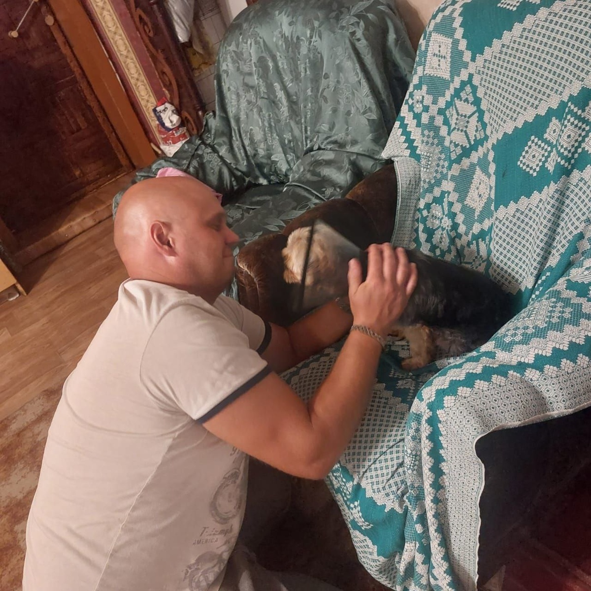 Йорки они такие - покоряют сердца сразу и навсегда!