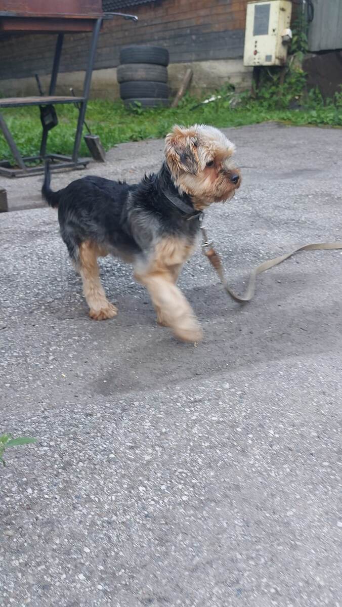 Тотошка это я!