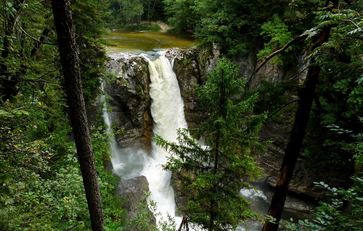 фото из интернета