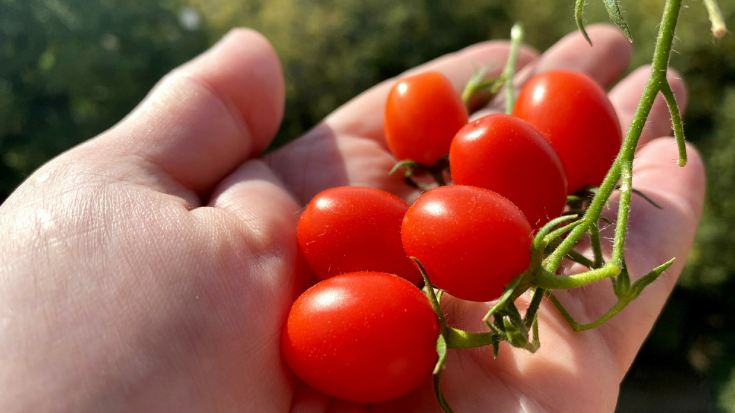    Alexander Legky/Globallookpress