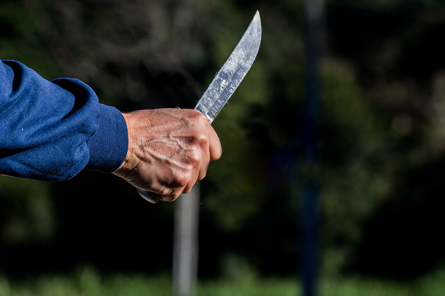    Фото носит иллюстративный характер