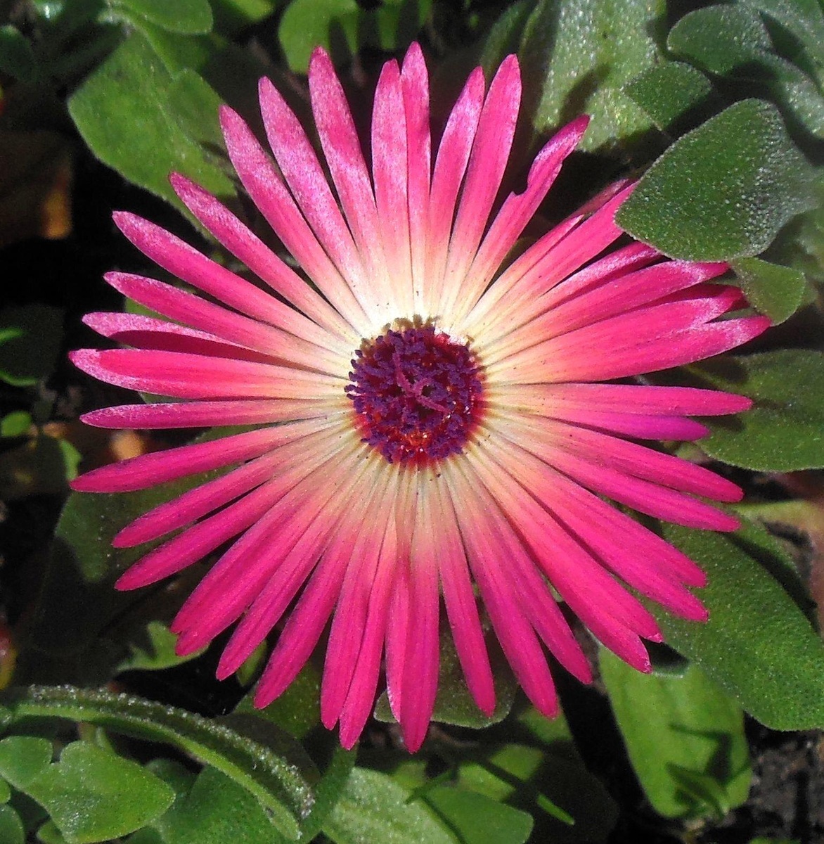 Фото автора канала