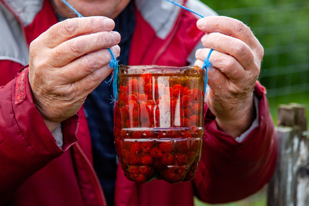 Фото: © Oksana Korol/ Business Online/ Global Look Press