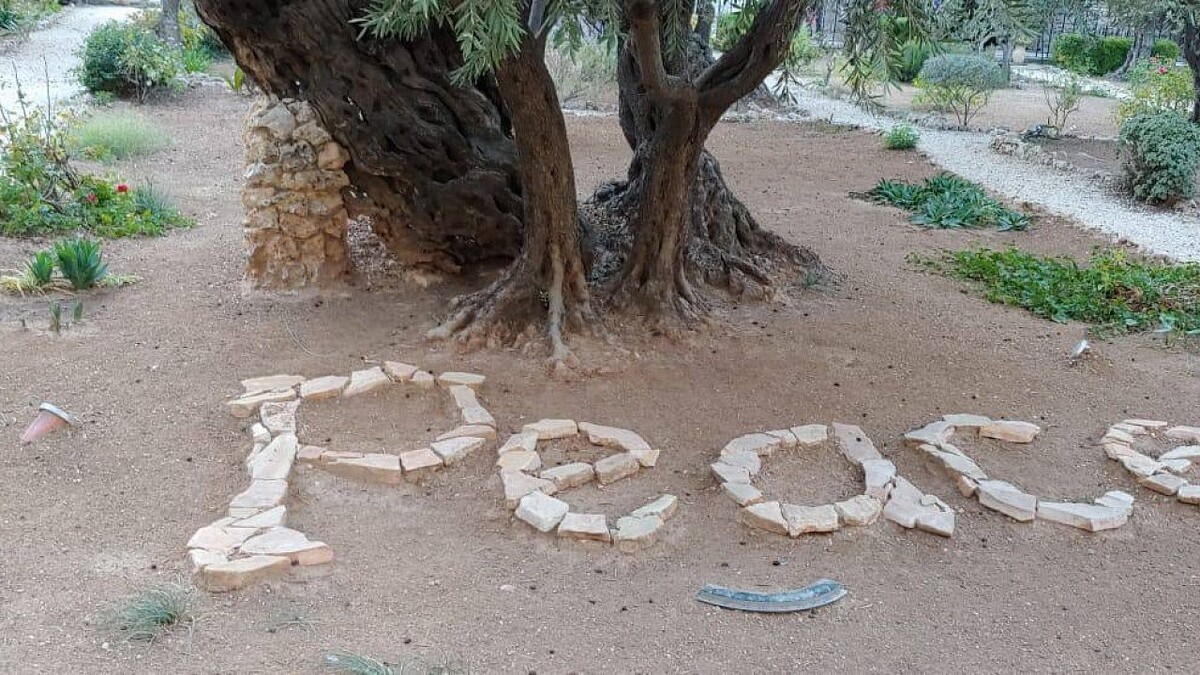    Фото: телеканал «Краснодар»