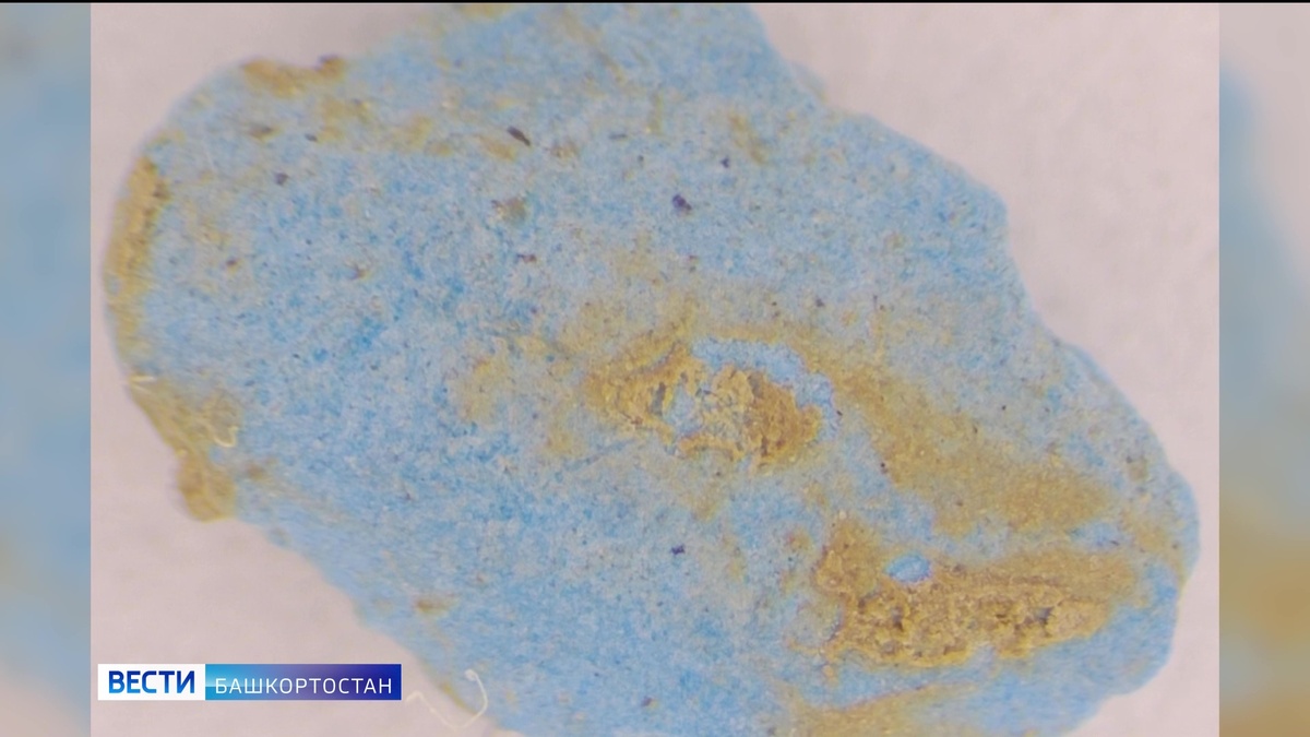    В пещере "Шульган-Таш" в Башкортостане обнаружены ранее неизвестные рисунки эпохи палеолита