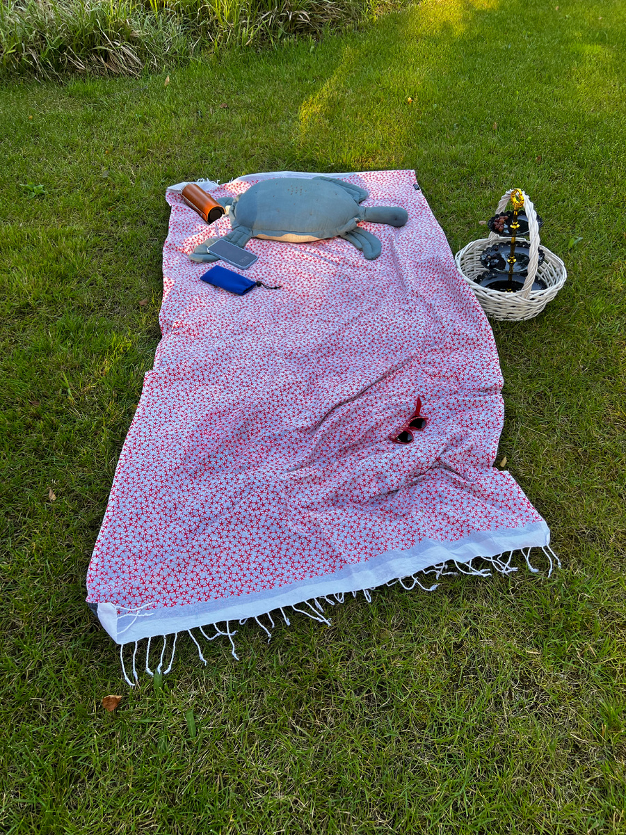 А это мое место для отдыха 