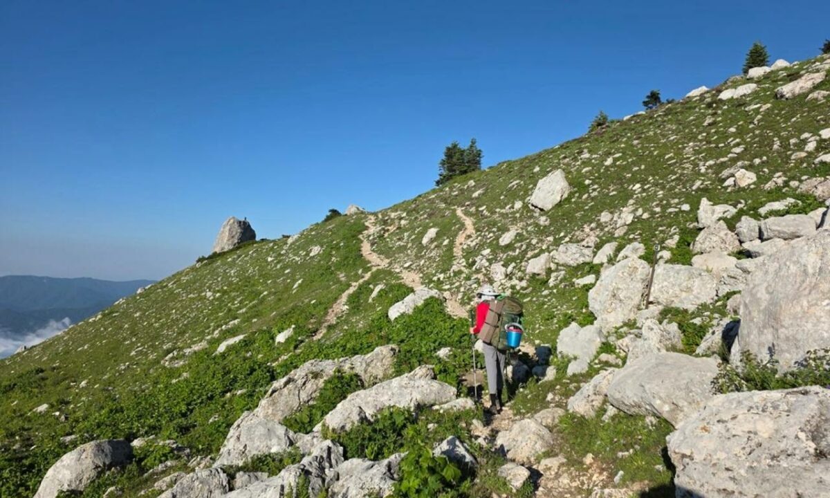    Фото t.me/siriusfederal