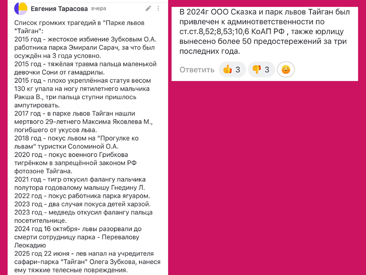 Список громких трагедий в Парке Тайган