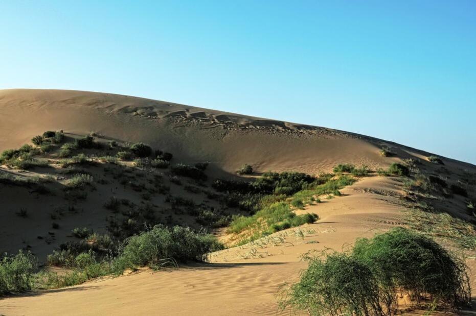    Владимир Песня/РИА Новости
