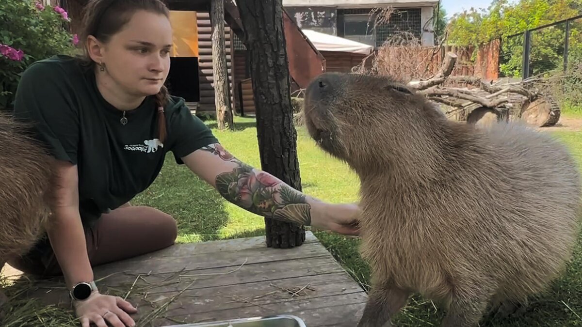    Фото: t.me/lenzoopark