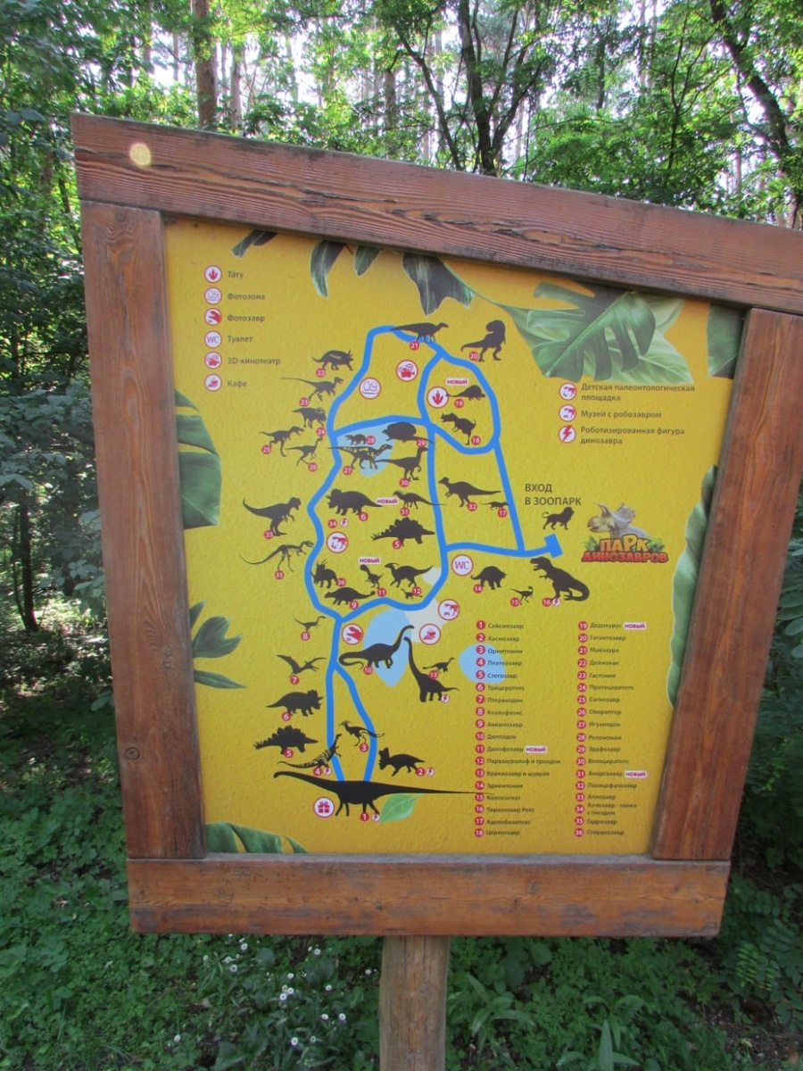 Где карта, Билли?