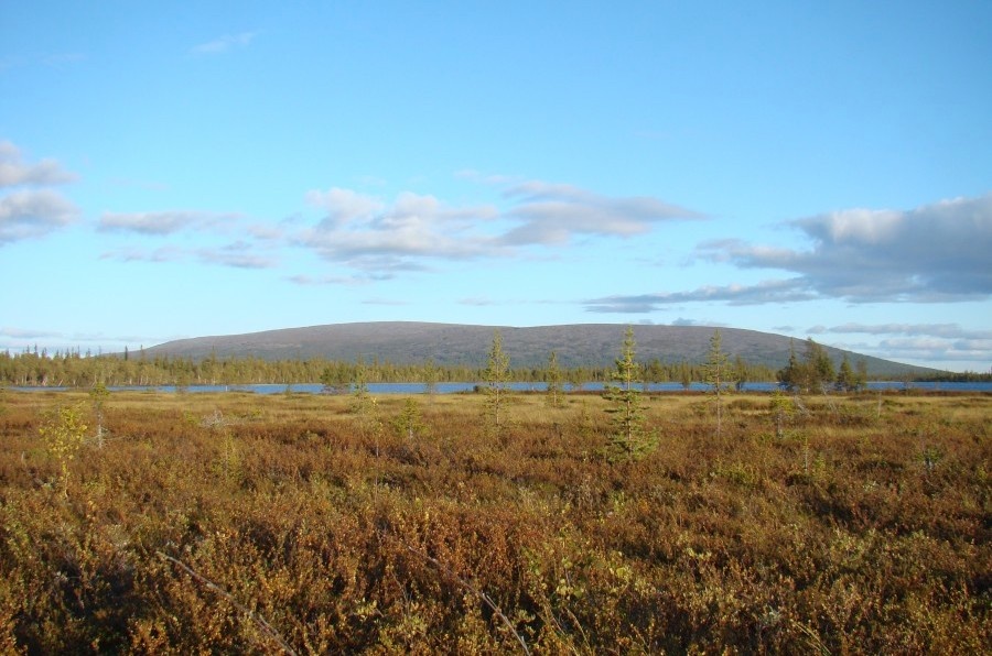 Панские тундры Федорово-Панского массива (Ловозерский район, Мурманская область). Автор: West. Источник: webmineral.ru