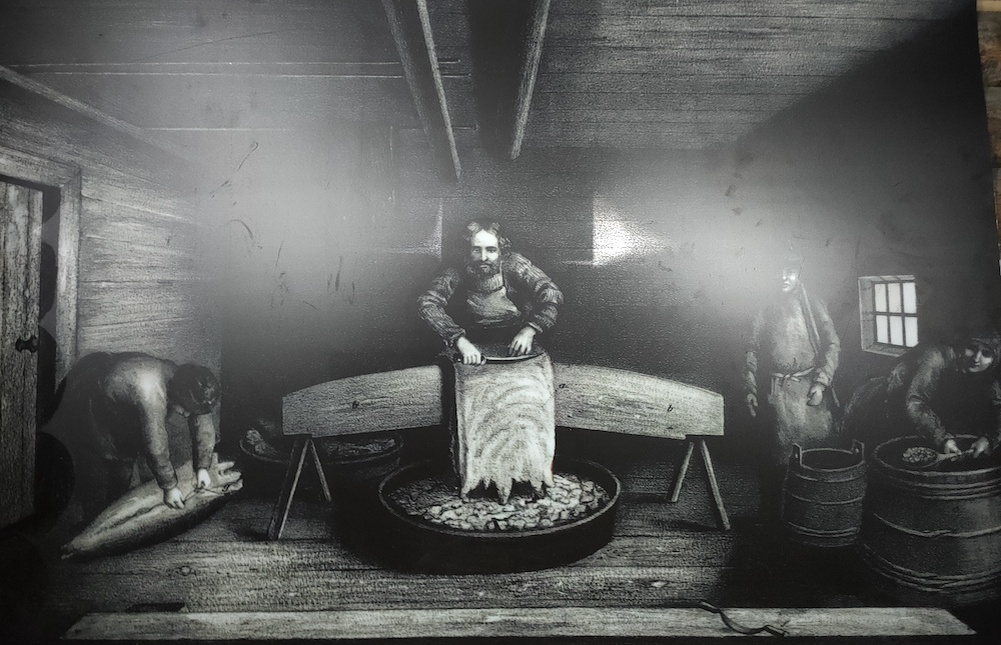 Иллюстрация, описывающая работу салотопни. Фрагмент экспозиции. Фото предоставлено пресс-службой музея-заповедника «Малые Корелы»