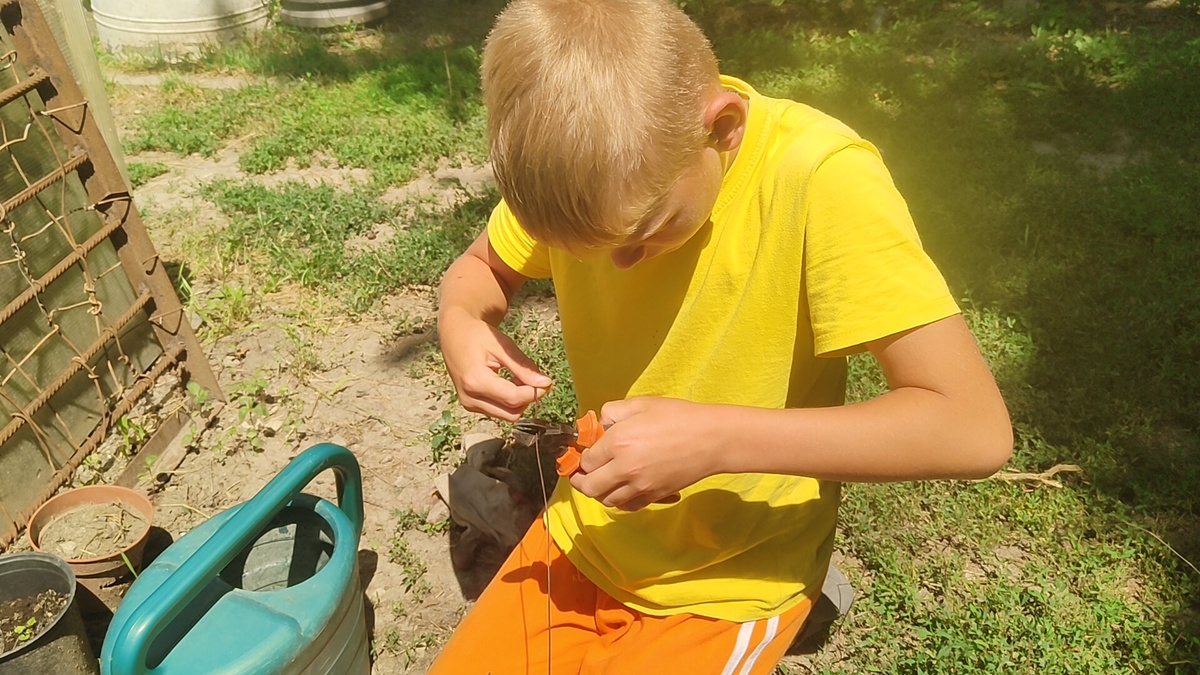 Дима в деле 