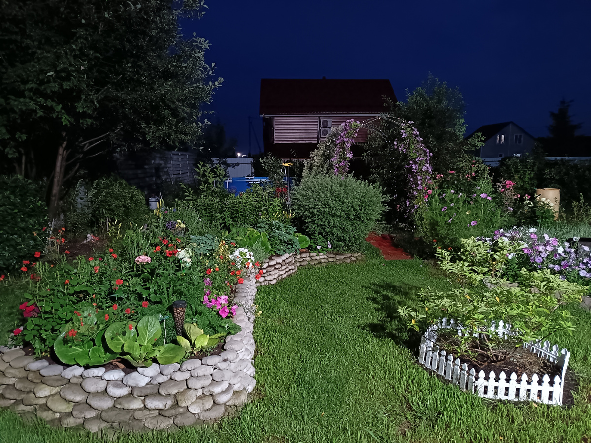 Слева черемуха. 