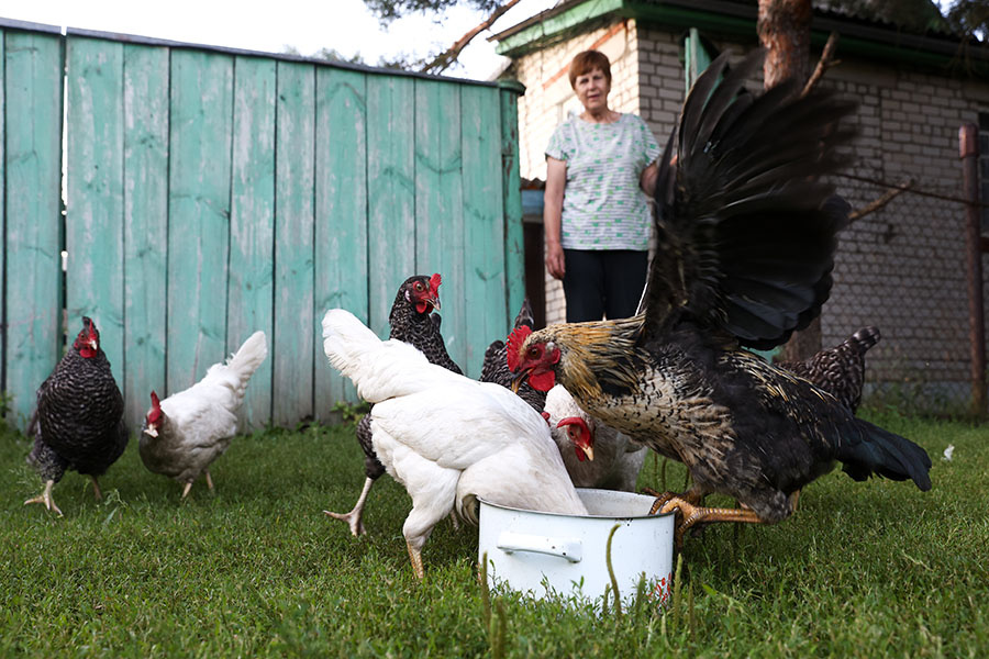    © Александр Рюмин/ТАСС