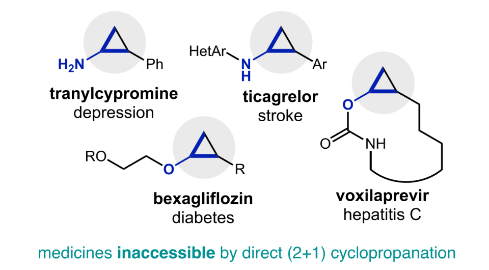   Khue N. M. Nguyen et al. / Science, 2025