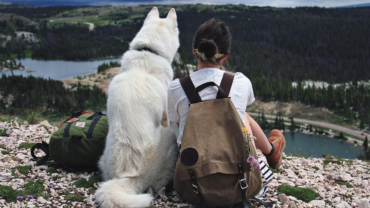 Фотография из свободного доступа