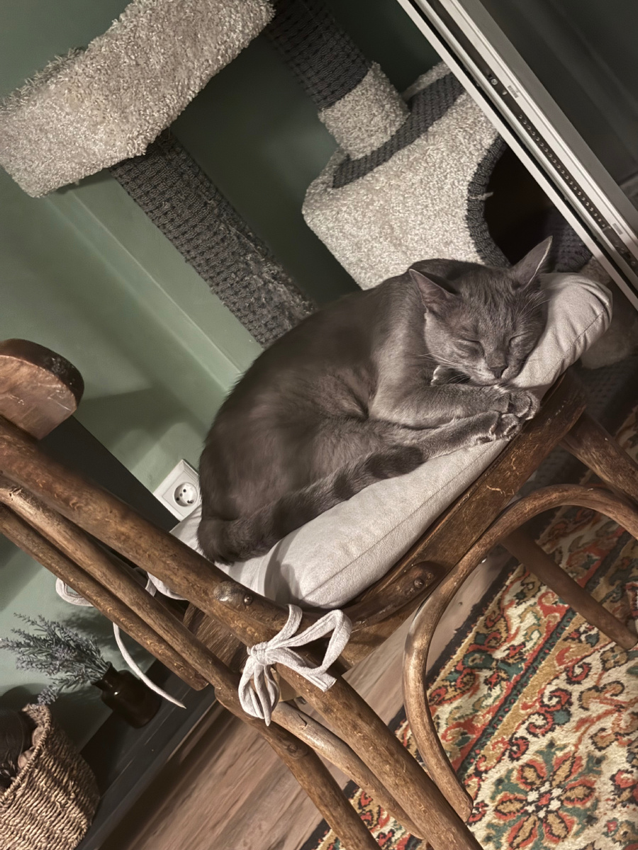 У Сени дневной сон 