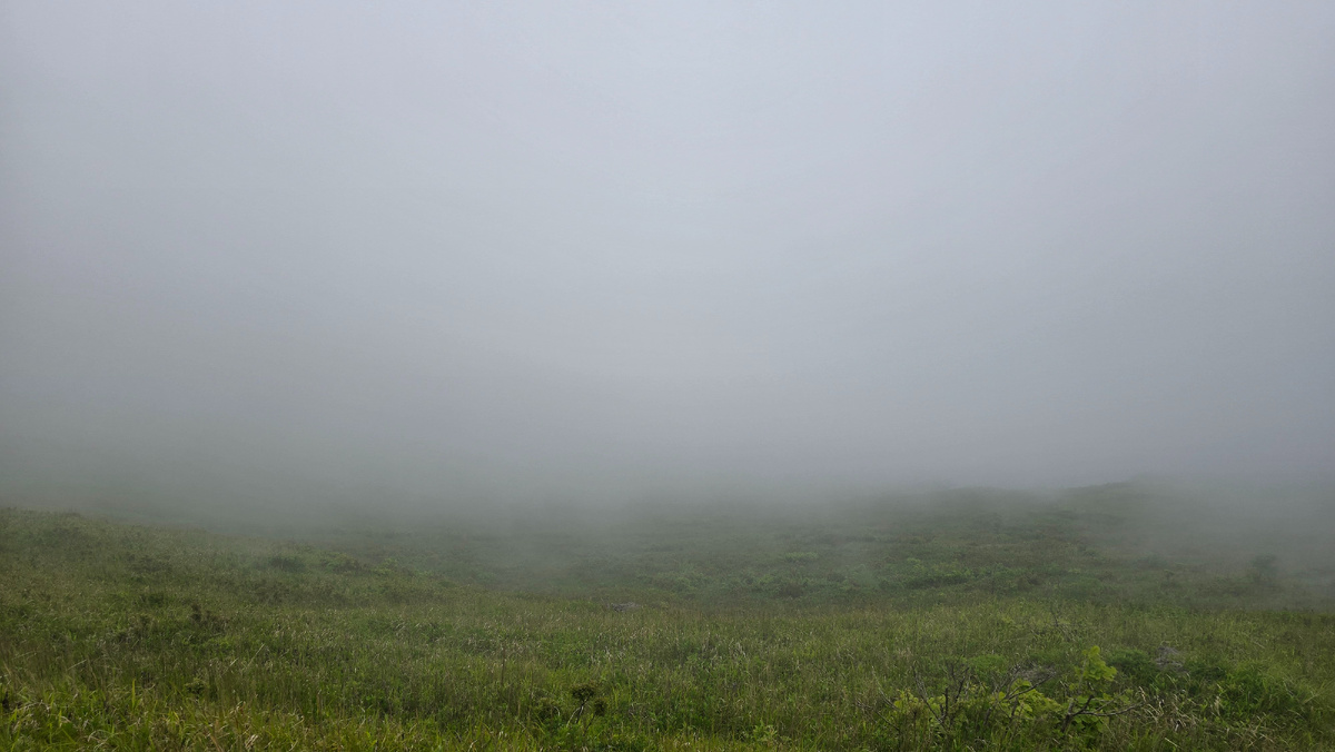 За туманом - Тихий океан