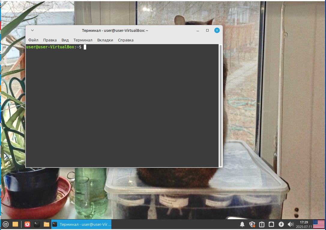 Окно Терминала