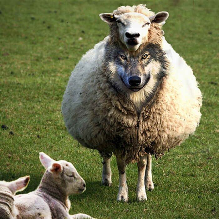 Позаимствовано на Яндекс картинки