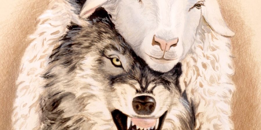 Позаимствовано на Яндекс картинки