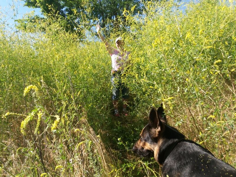 Фото автора