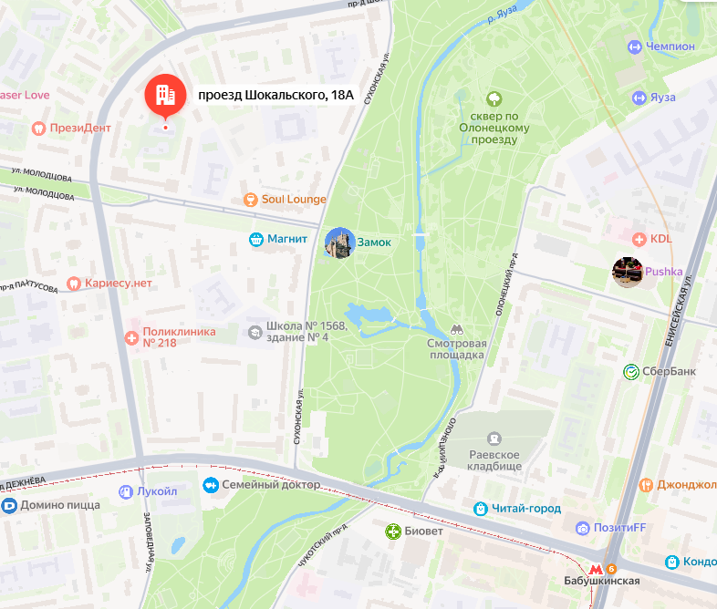 Современная карта. Там, где отмечен проезд Шокальского, располагалось старое кладбище. Новое Раевское кладбище — небольшой участок около метро.