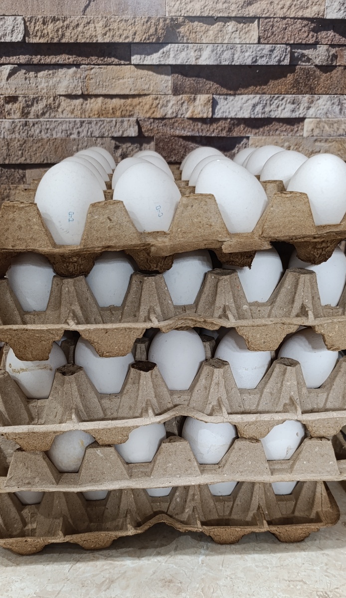 Наши яйца 😂