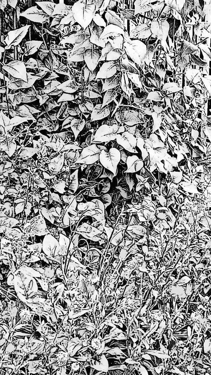 Тест на внимание и зоркость 