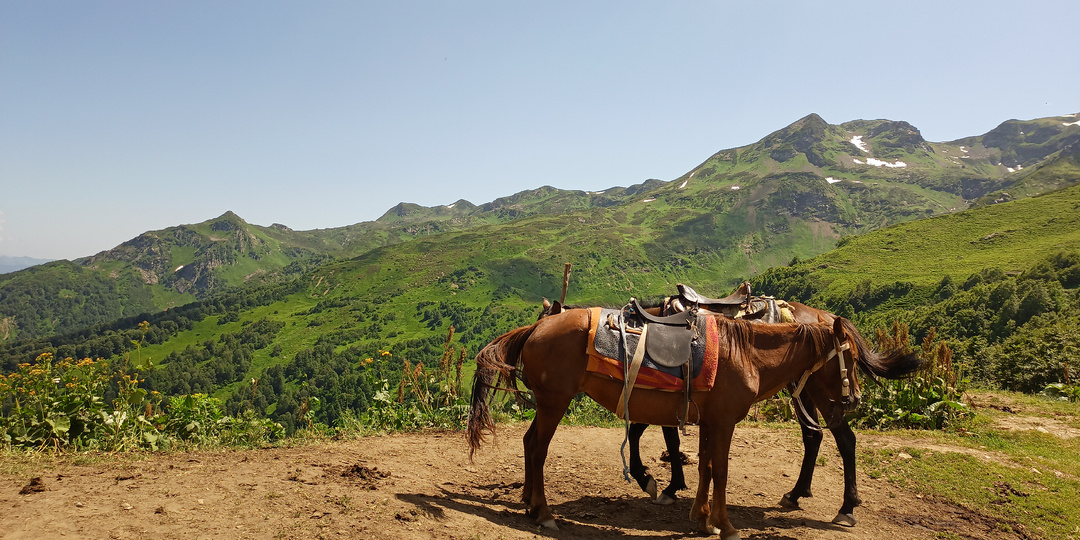 Абхазия. Тур на Гегский водопад и перевал Пыв.