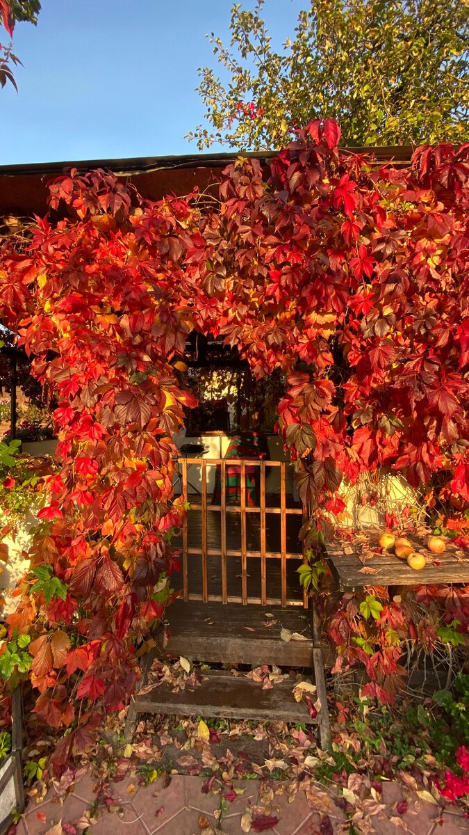 Фото из личного архива автора