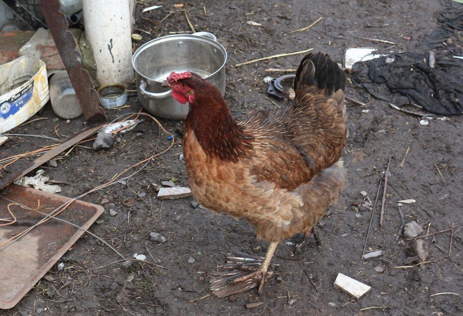    Юрий Конопатов/NEWS.ru