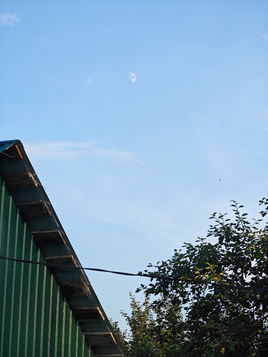 Фото автора канала 