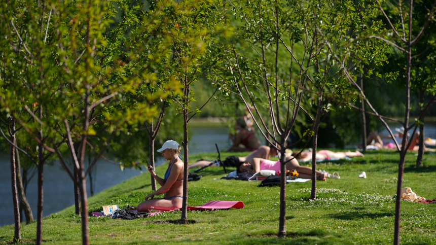    Фото: ИЗВЕСТИЯ/Дмитрий Коротаев
