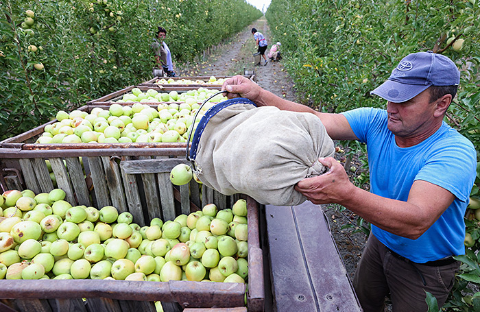    Сергей Мальгавко/ТАСС