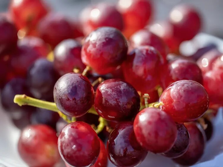    Ali Majdfar / Getty Images