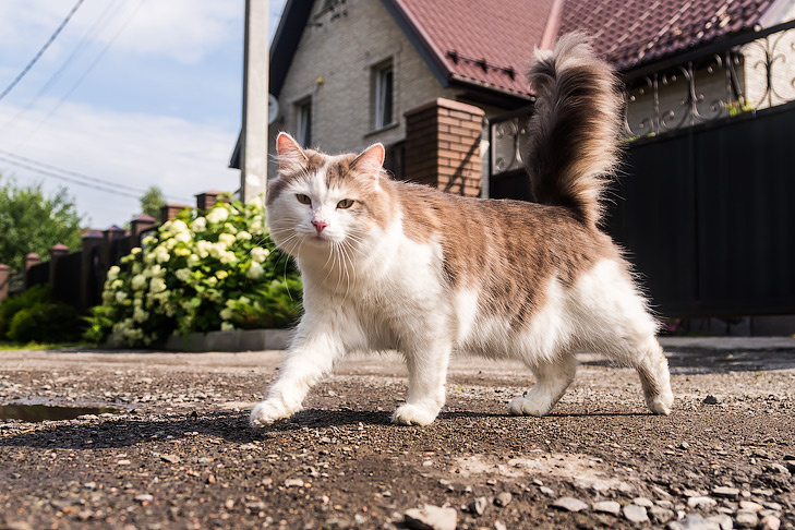    Фото Андрея Заржецкого