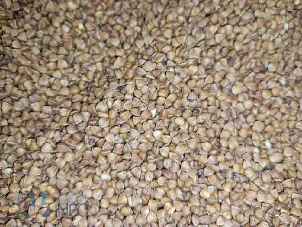    Фото: Амур.инфо