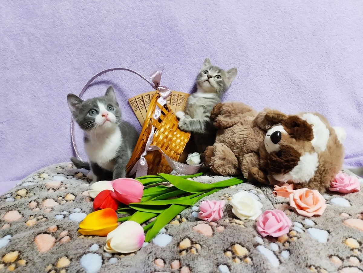 Наши малыши