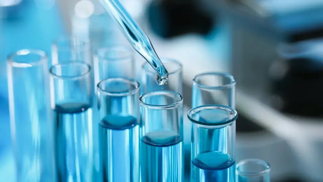    Фото: Sergey/shutterstock.com