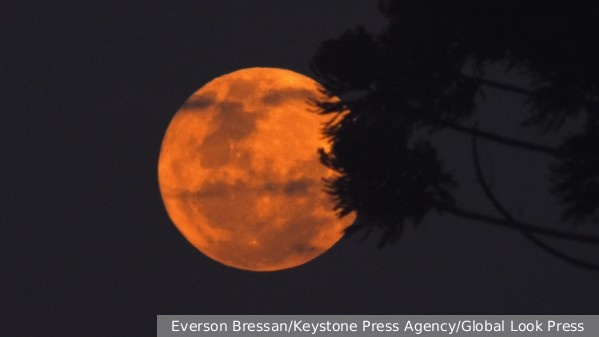     Фото: Everson Bressan/Keystone Press Agency/Global Look Press    
 Текст: Ирма Каплан